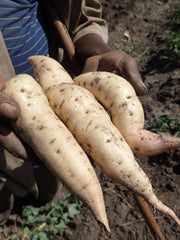 この程度は失敗ではない?