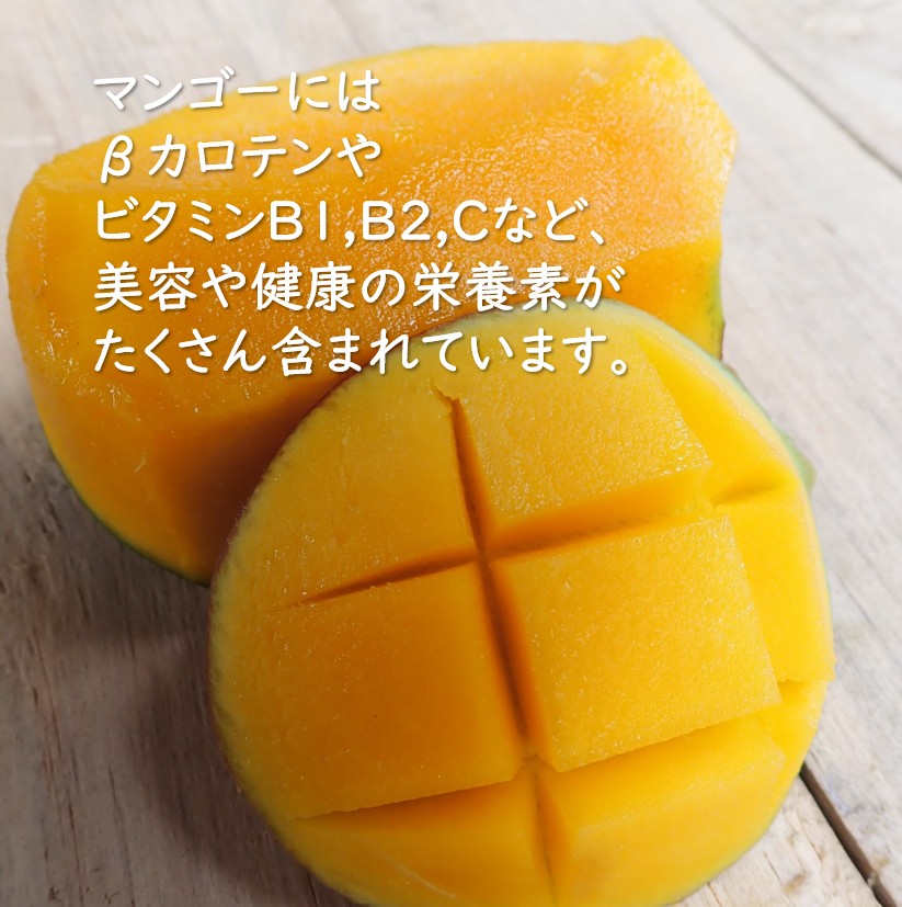 【訳あり】ドライマンゴー350g