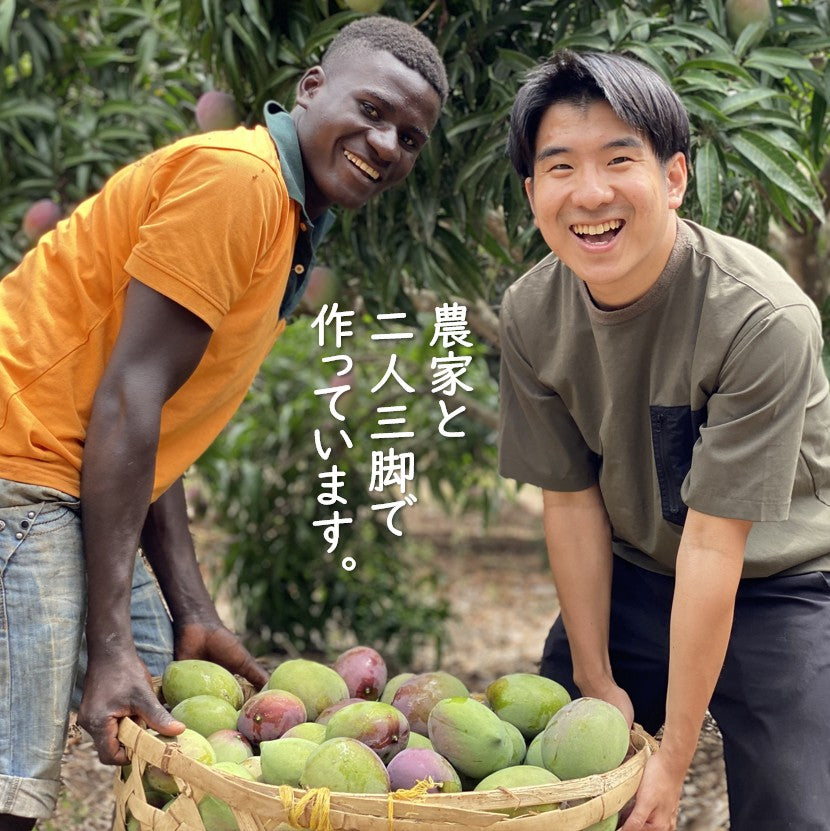 【訳あり】ドライマンゴー350g