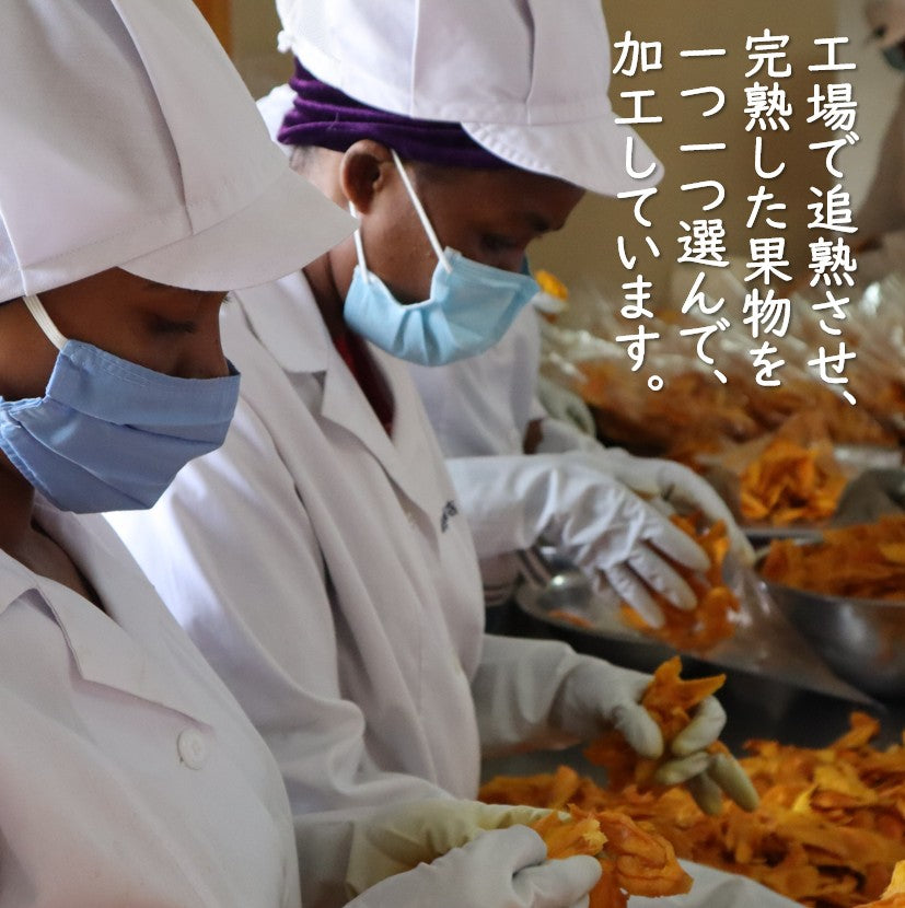 【訳あり】ドライマンゴー350g