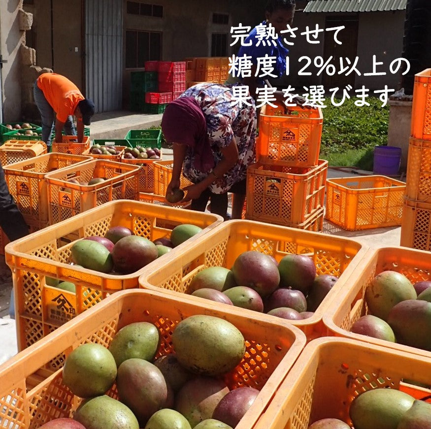 ドライマンゴー 50g×4袋セット