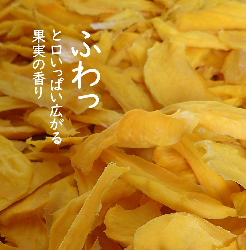 ドライマンゴー 50g×4袋セット