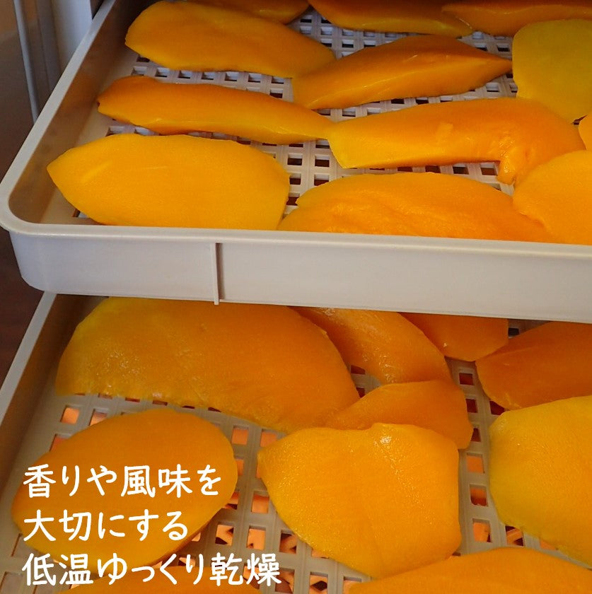 ドライマンゴー 50g×4袋セット