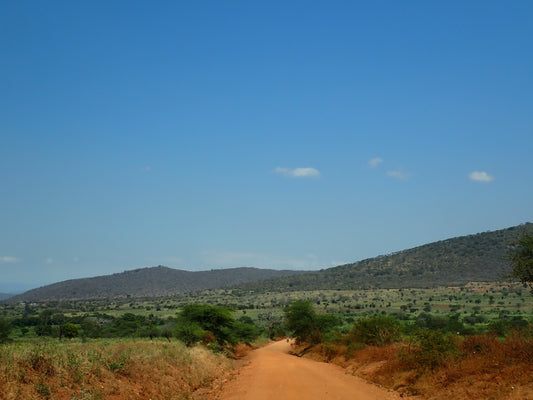 発送お休みのお知らせ